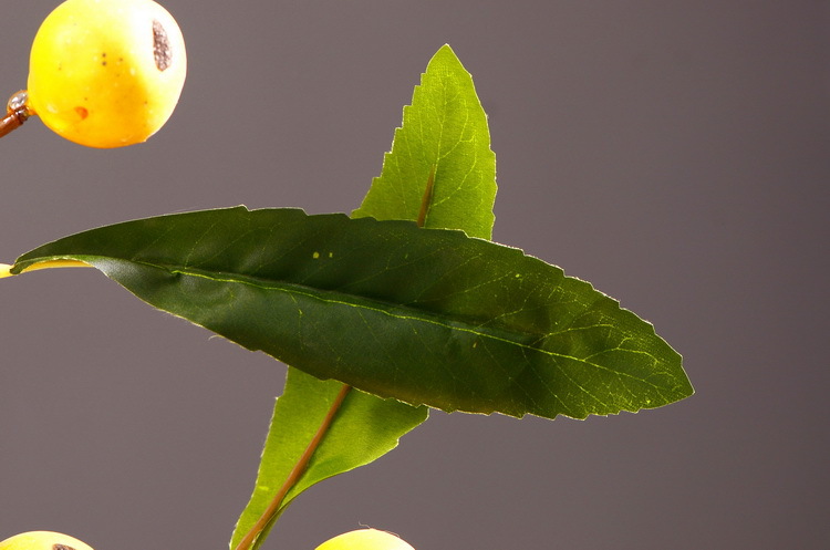Factory direct sales of artificial loquat fruit branches, Chinese modern and simple soft decoration, artificial berries wholesale, prosperity fruit pic 7