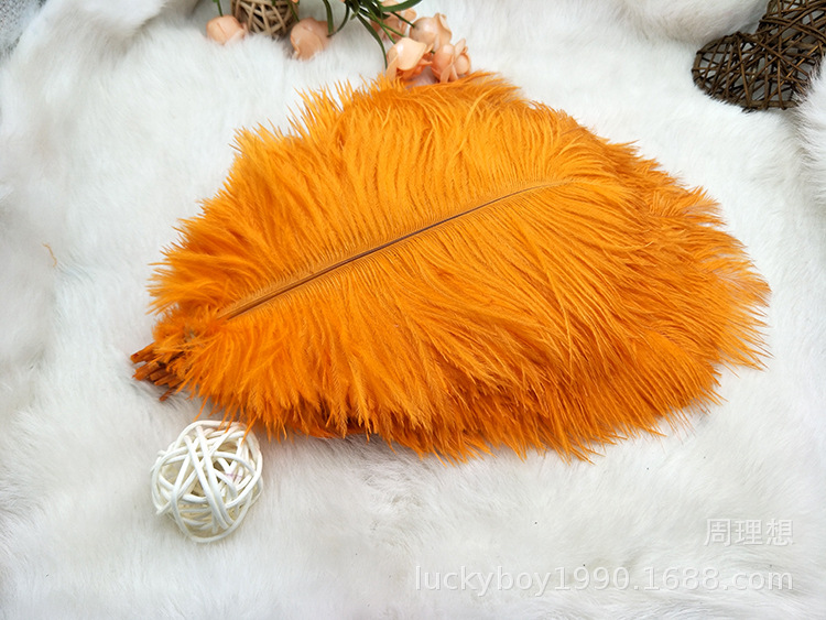Colorful ostrich feathers 15-20cm, mask feathers, DIY accessories, wedding decoration props, ear-picking accessories, colorful feathers pic 36