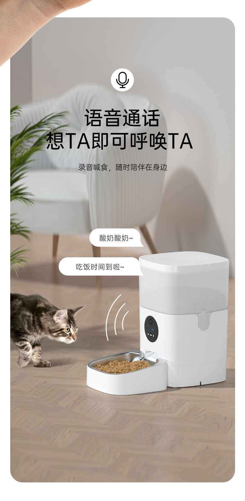 Cross-border Pet Smart Feeder 4-liter i Video version Remote cat and dog Timed and Quantized automatic feeder pic 4