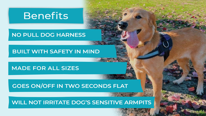 工厂直销狗狗牵引绳大中小型犬胸背带舒适透气防爆冲狗绳夜间反光详情1