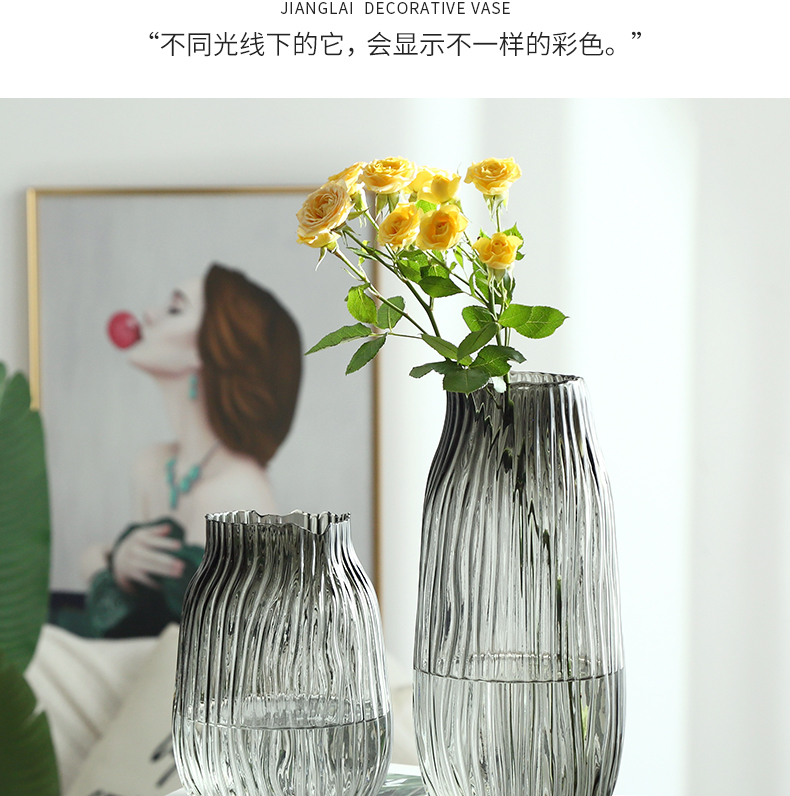 纳纶大号玻璃花瓶透明水养富贵竹百合花瓶摆件客厅插鲜花干花北欧详情10