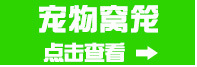厂家批发 七彩宠物牵引绳1.0cm 狗狗牵引绳胸背带 猫牵引带狗用品详情10