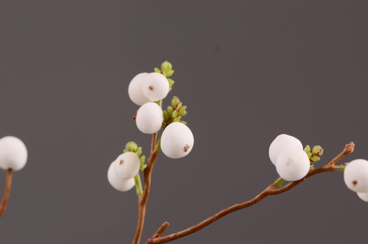 Dongli Wholesale Factory Director Direct sales of artificial ginkgo nuts, artificial flowers, wholesale of artificial flowers, home decorations, living room and dining room flower arrangements, flower art, artificial berries and fruits, one-piece consignment pic 24