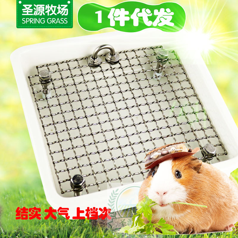 清仓22年现货玉米 饲料主粮兔子仓鼠磨牙小玉米 仓鼠玉米宠物用品详情4