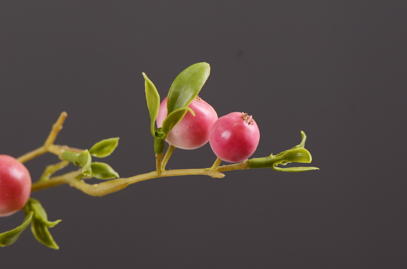 Factory direct sales of simulated small apple branches with leaves for home entrance and hotel soft decoration, as well as simulated fruit branches of the money fruit pic 18