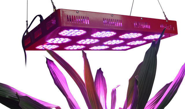 Full-spectrum LED144*3W plant growth lamp, greenhouse coral growth lamp pic 12