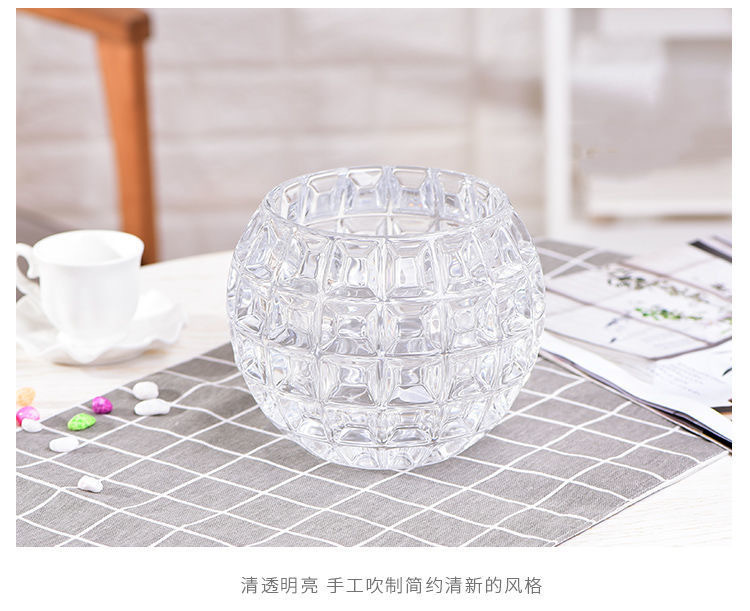 Hydroponic plant glass bottles, round glass vases, transparent green ivy and duck intestines containers, hydroponic flowerpots, vessels and containers pic 3