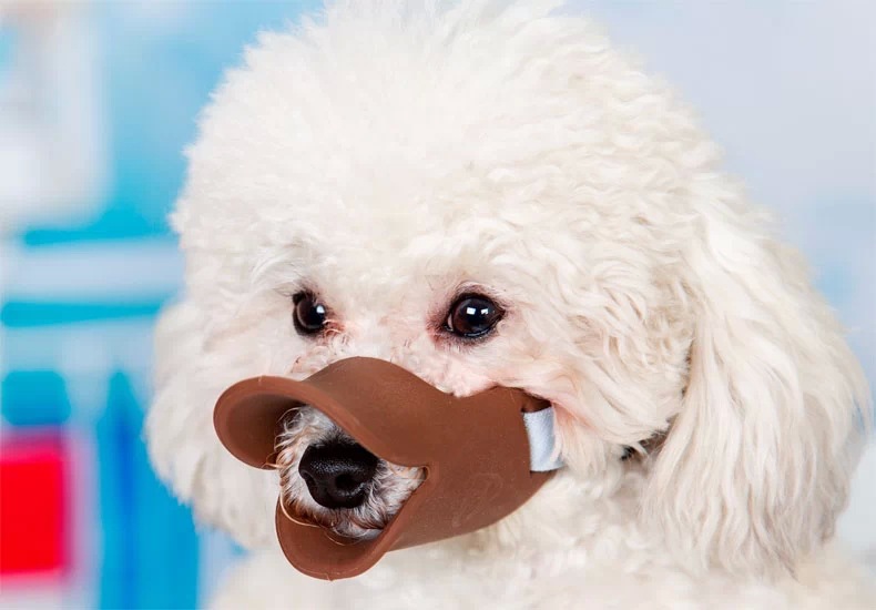 宠物狗嘴套鸭嘴套 (1)