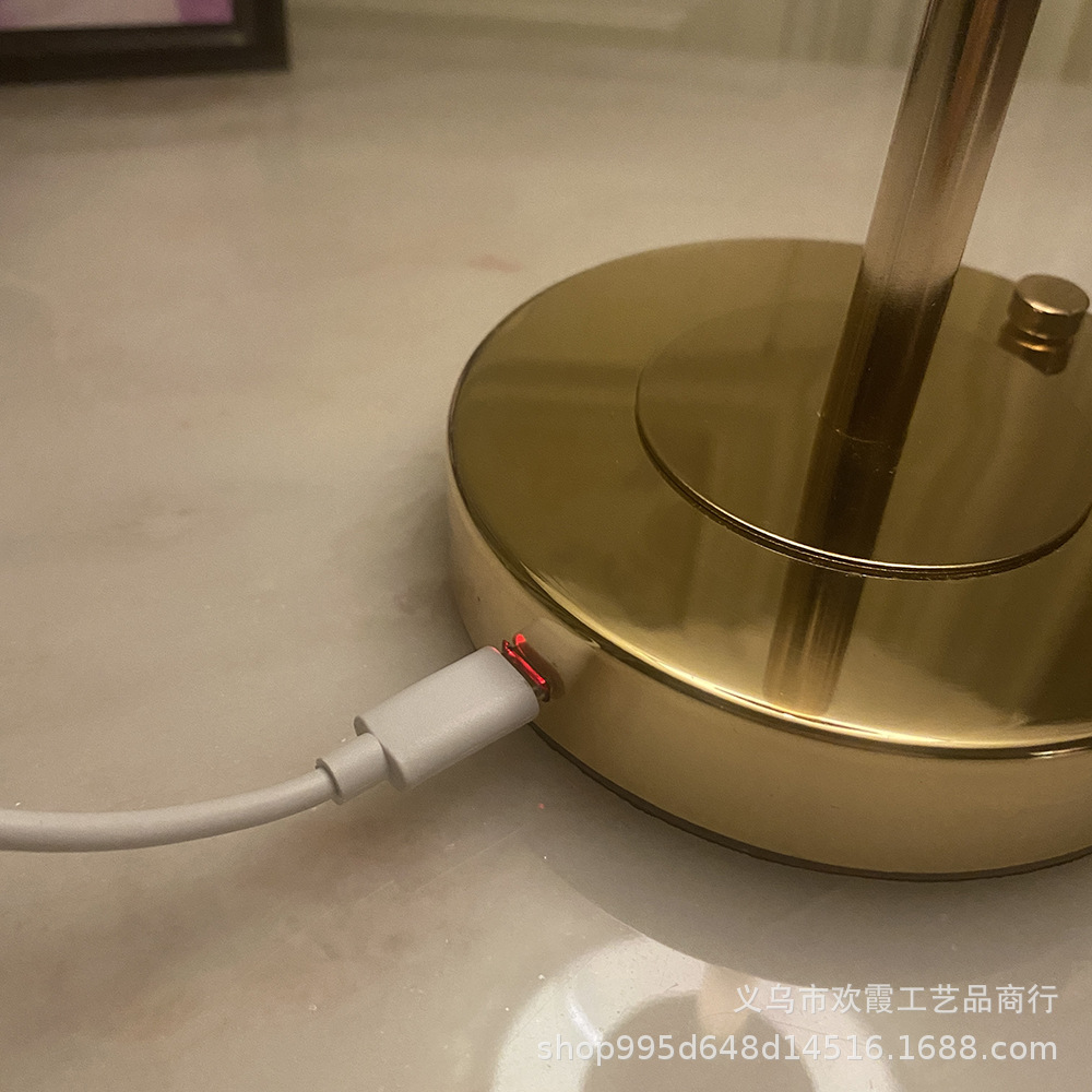 Rechargeable ostrich feather desk lamp, bedroom bedside lamp, creative Nordic light luxury romantic night lamp, warm decorative desk lamp pic 7