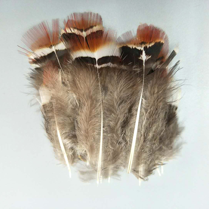 厂家批发珍珠鸡毛彩色羽毛 服装DIY手工工艺品饰品耳环材料野鸡毛详情30