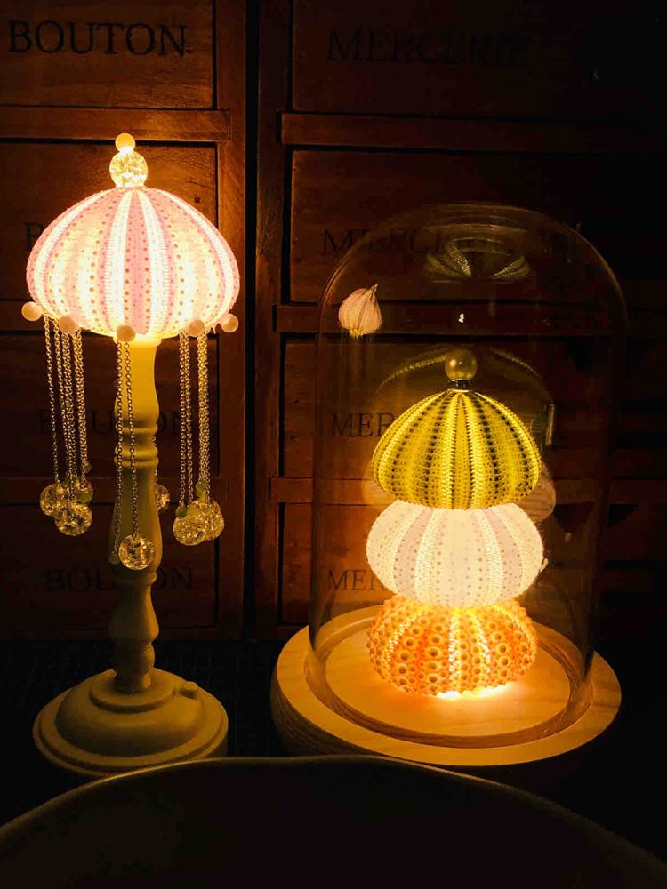 Mushroom, shell, sea urchin shell, retro atmosphere night light diy material package, birthday gift for children, decorative item pic 2
