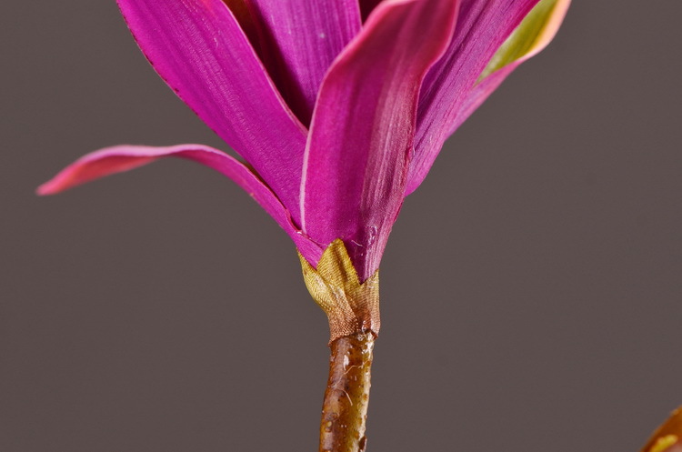 Dongli Factory direct sales, wholesale of artificial flowers, purple mist grass, purple dew grass, home decoration, artificial living room model rooms, artificial flower ornaments, one-piece consignment pic 24