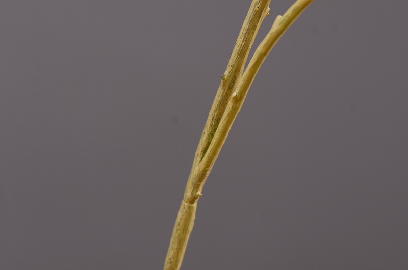 Factory direct sales of simulated small apple branches with leaves for home entrance and hotel soft decoration, as well as simulated fruit branches of the money fruit pic 19