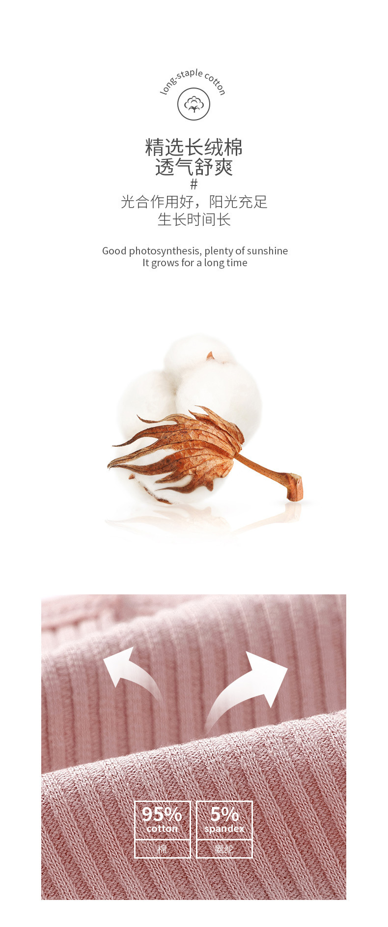 跨境欧美女士内裤中腰透气提臀女内裤高弹舒适女士三角裤批发直供详情3