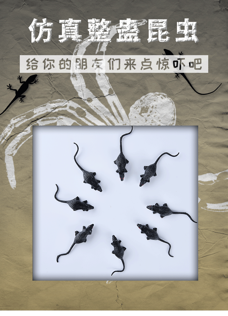 未标题-1-恢复的-拷贝_01.gif