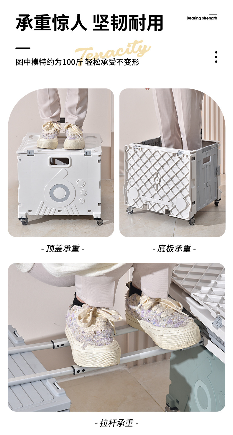 拉杆车_09.jpg