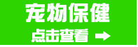厂家批发 七彩宠物牵引绳1.0cm 狗狗牵引绳胸背带 猫牵引带狗用品详情7