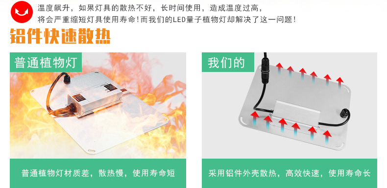 谦润照明100W植物灯LED80W多肉补光2000W温室灯大棚50W大功率400W详情14