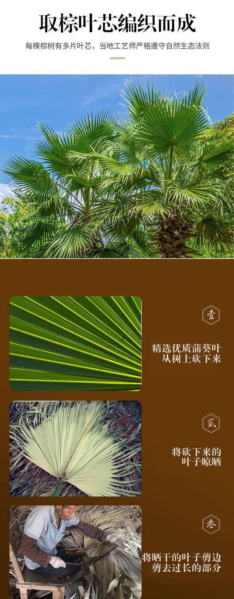 扇子大蒲扇芭蕉扇济公扇葵扇老人老式手工蒲草扇绘画扇粽叶烧烤扇详情5
