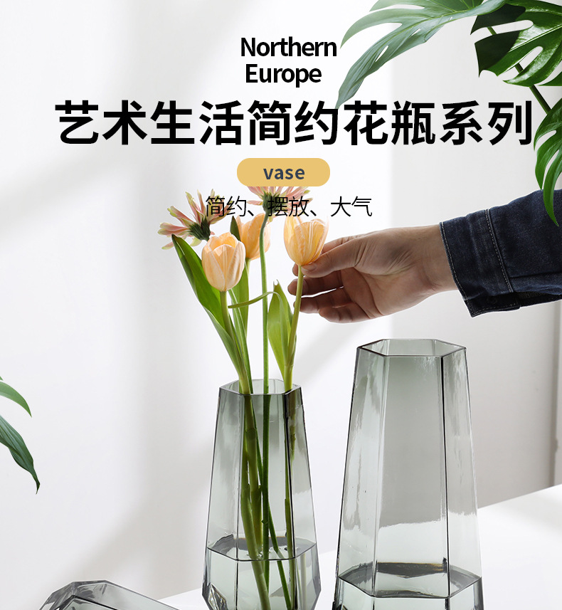 A popular Nordic minimalist creative glass vase, transparent water-grown flower arrangement, rose and lily vase, a living room decoration for home use pic 1