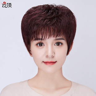 Wig for women with medium to long hair, French Internet celebrity, real hair, hair cover style, collarbone long straight hair, real hair cover factory wholesale pic 9