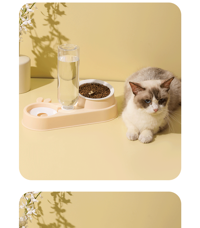 陶瓷猫碗狗碗防打翻自动喂食器批发宠物碗饮水器宠物狗盆一件代发详情10