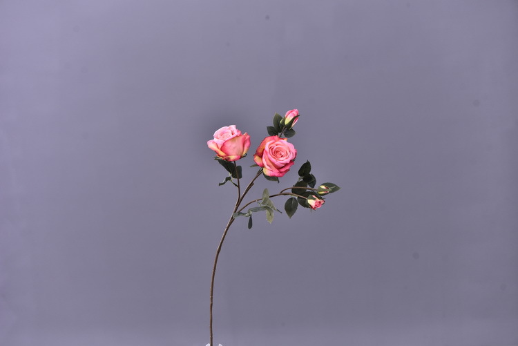 5 pieces of retro charred edge rose artificial flower decoration, artificial flower imitation dried flower, home soft decoration withered and dry, wedding Lanjin artificial rose wholesale pic 32