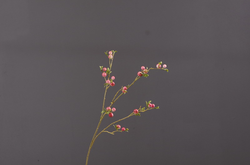 Factory direct sales of simulated small apple branches with leaves for home entrance and hotel soft decoration, as well as simulated fruit branches of the money fruit pic 15