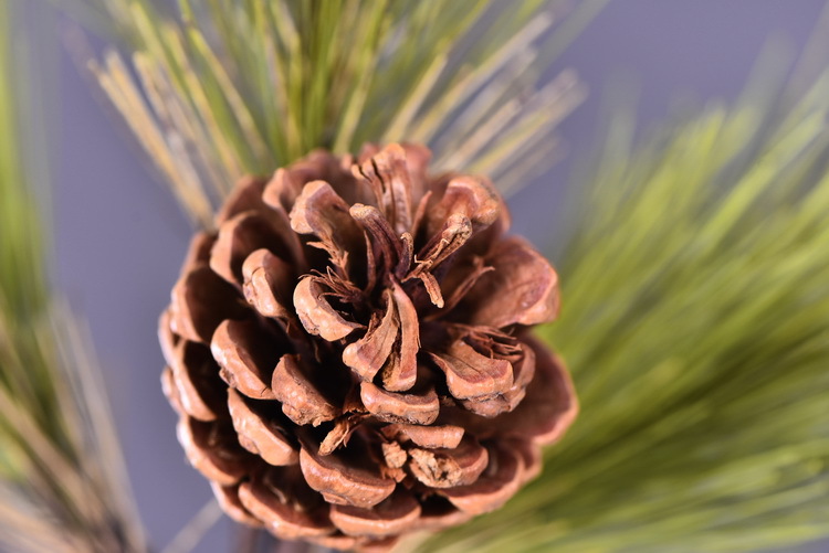 Factory direct sales of artificial Masson pine, Wabi-sabi style, Chinese Zen style artificial plants, wedding and banquet decoration green plants, pine needles pic 29