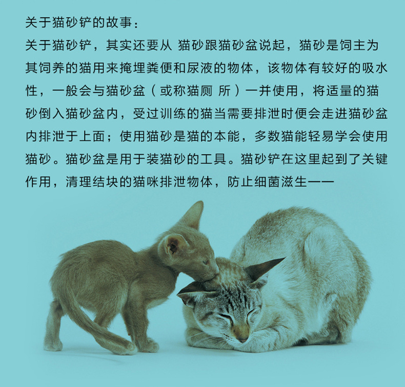 BAOJIE/宝杰猫砂铲子塑料大号宠物清洁拾便用品外贸批发详情10