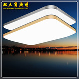 مصابيح ليونة ثلاثية الألوان من طراز 5050RBD بالنيون ذات ضغط عالي قدره 220V 2835. pic 27