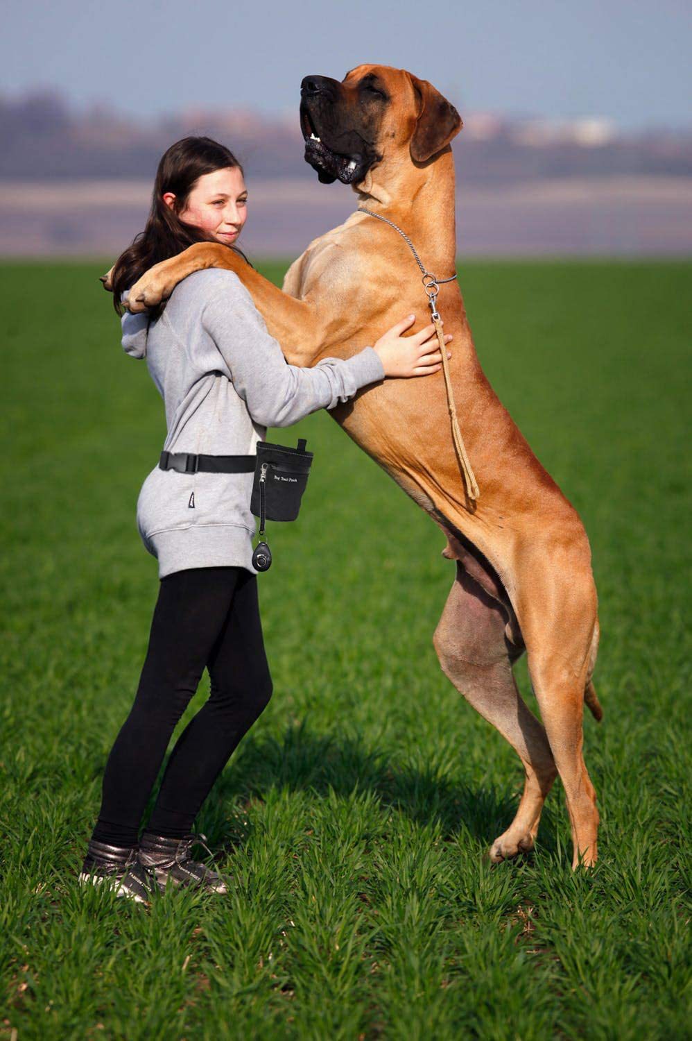 欧美跨境热销训狗师腰包宠物零食包遛狗腰包宠物零食玩具收纳袋详情7