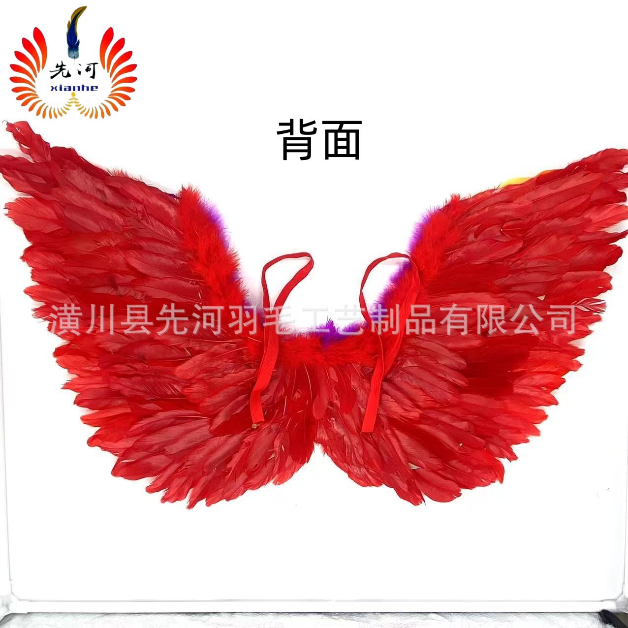 Rainbow-colored butterfly feathers angel wings Halloween Carnival Feather wings stage performance Auto show fashion show pic 4