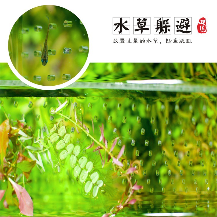 Heart-shaped partition clamp (for space isolation in fish tanks, it can also be used to fix oxygen pipes, wire isolation boards and other pipelines) pic 8