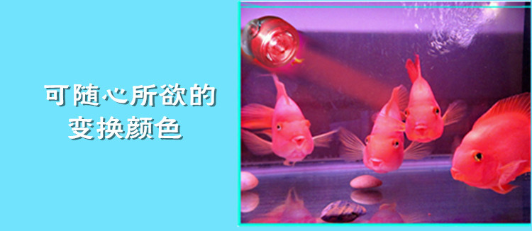 The Baojie Aquarium LED fish tank diving light features a seven-color color-changing spotlight with a 180-degree adjustable focus pic 21