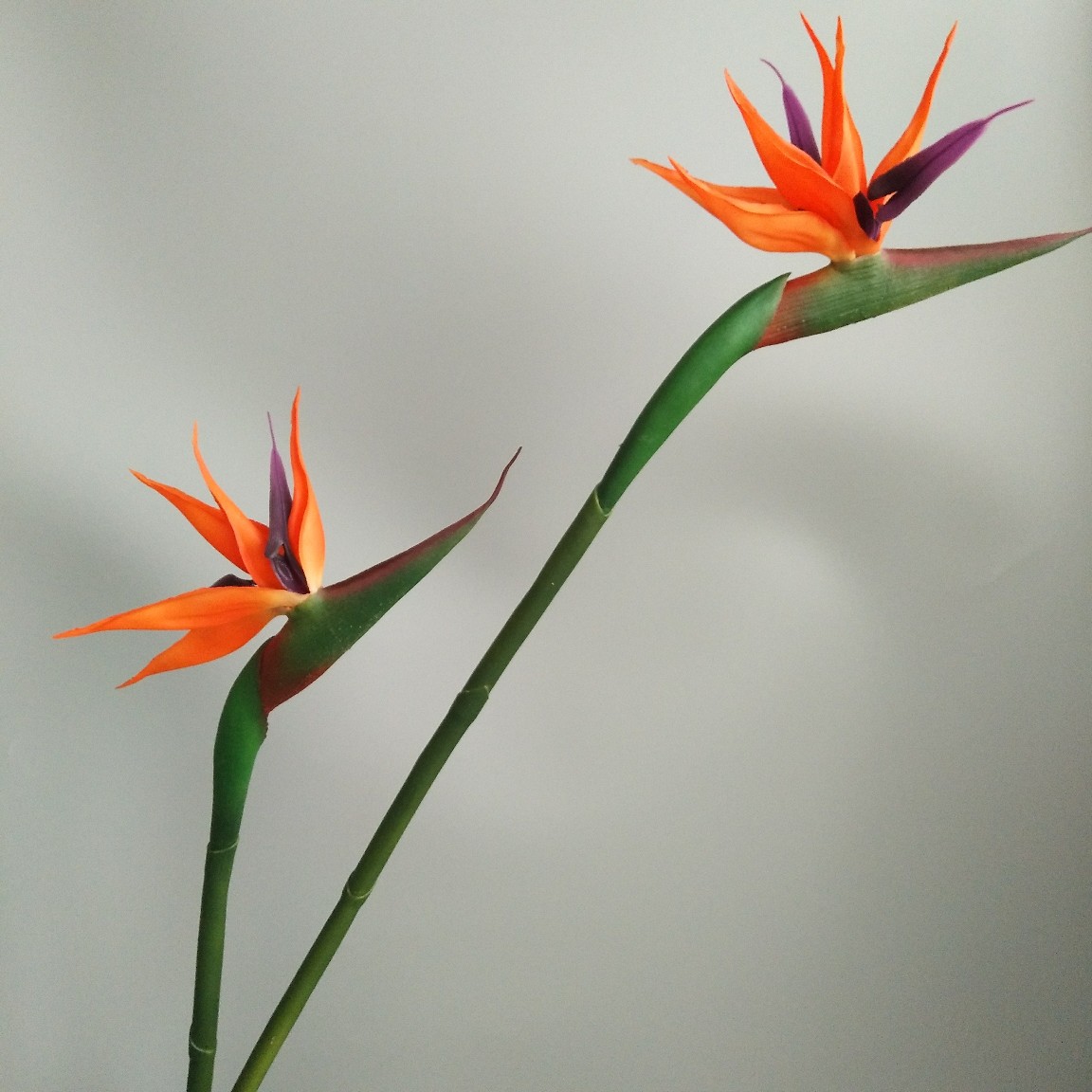 Soft rubber paradise Bird Crane Orchid New Chinese-style home model room decoration design, overseas wedding photography artificial flower pic 31