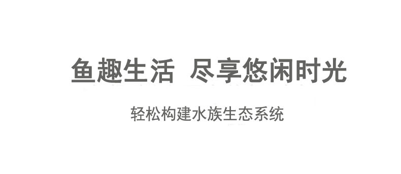 Ecological bottle micro-landscape, small office desktop, fish tank landscaping, fighting fish, glass tank, aquarium living room creativity pic 6