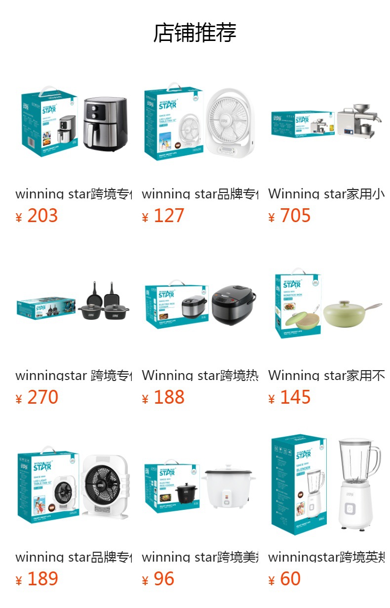 winning star brand exclusive AC/DC current 8-inch mini TYPE-C/USB interface small electric fan pic 18