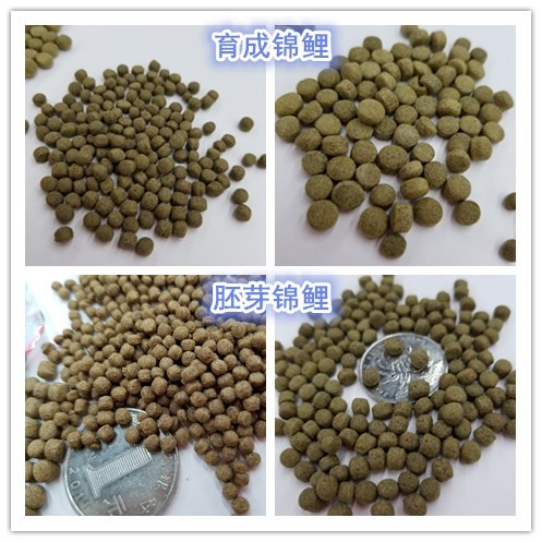 水族鱼缸观赏鱼饲料锦鲤饲料金鱼颗粒袋装饲料乌龟颗粒详情10