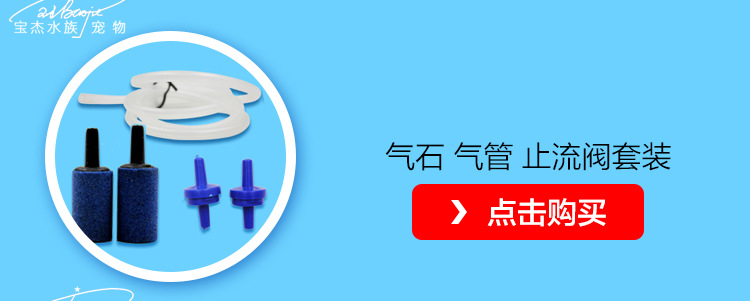 BOYU Boyu S oxygen pump, small fish tank booster oxygen pump, small single and double hole non-oxygen-deficient air pump pic 16