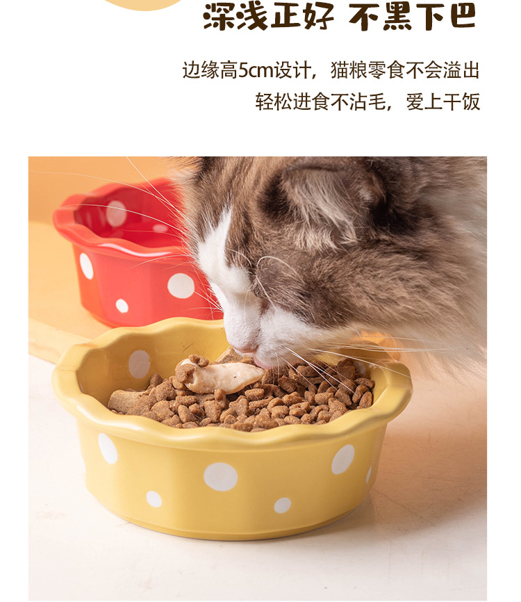 陶瓷猫碗花边波点宠物碗防黑下巴猫食盆猫粮碗小型犬泰迪宠物用品详情6