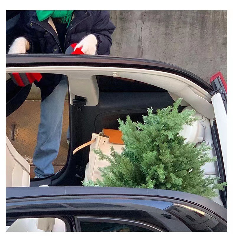 2022 Winter new style of Korean Dongdaemun th*bar*net stand-up collar 90 white duck down down jacket for women in stock pic 24