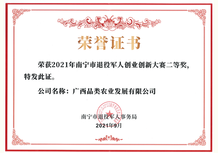 Natural farm-style loofah dishwashing cloth, loofah kitchen cleaning scouring pad, old loofah dishwashing cloth, general store pic 2