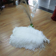 The feather fan is a special prop for the dance performance of the ostrich-colored feather fan used by the palace film crew pic 10