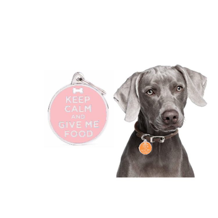 Cross-border new fashionable pet dog brand, metal dog collar, pet cat brand, anti-loss pet necklace, jewelry and accessories pic 2