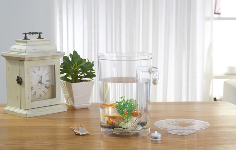 Lazy fish tank landscape ecological bottle, small mini fish tank, Office desktop fish tank, golden fish tank, creative ornamental tank pic 36