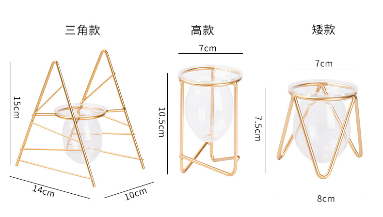 Nordic ins metal, ironwork, glass, hydroponic container, flower arrangement, creative home and office desktop flower arrangement pic 24