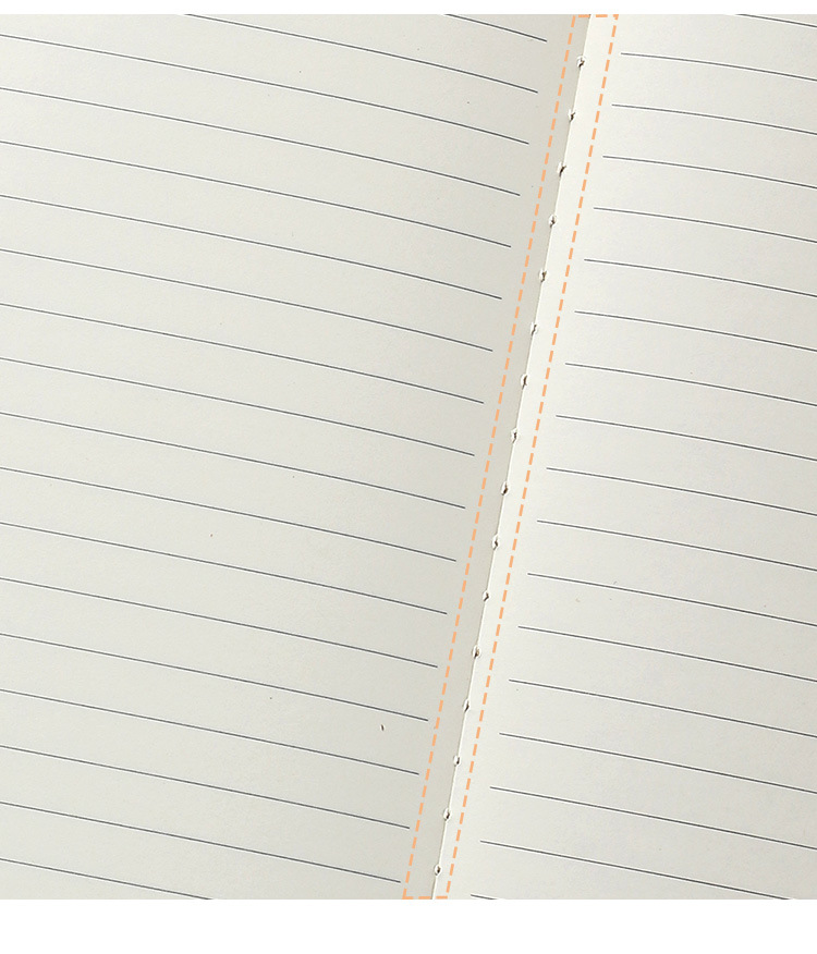 Wholesale of 40 thickened student exercise notebooks, notepads and notebooks in the Korean version of Senmu B5 car line book pic 11