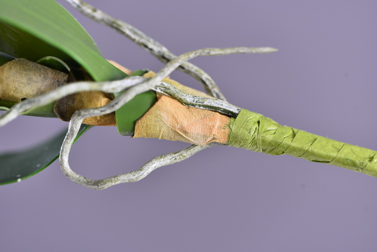 Factory direct sales of high-end artificial dendrobium, wholesale of artificial flowers with leaves, home decoration of Phalaenopsis and Lanjin artificial plants pic 50