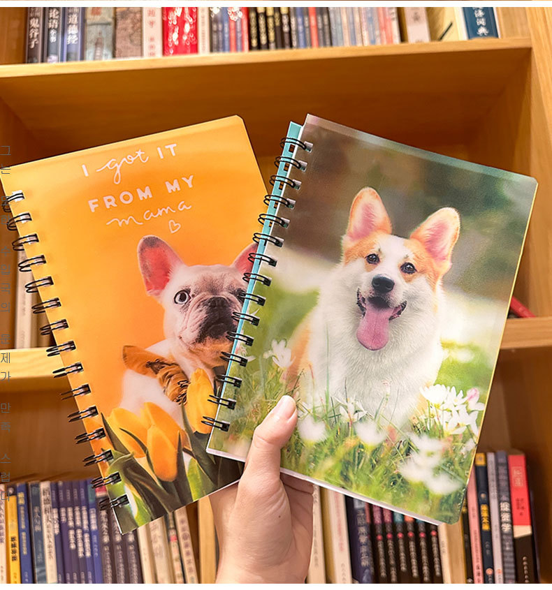 跨境3D变幻线圈本可爱卡通立体光栅本学生口袋便携本办公记事本详情9